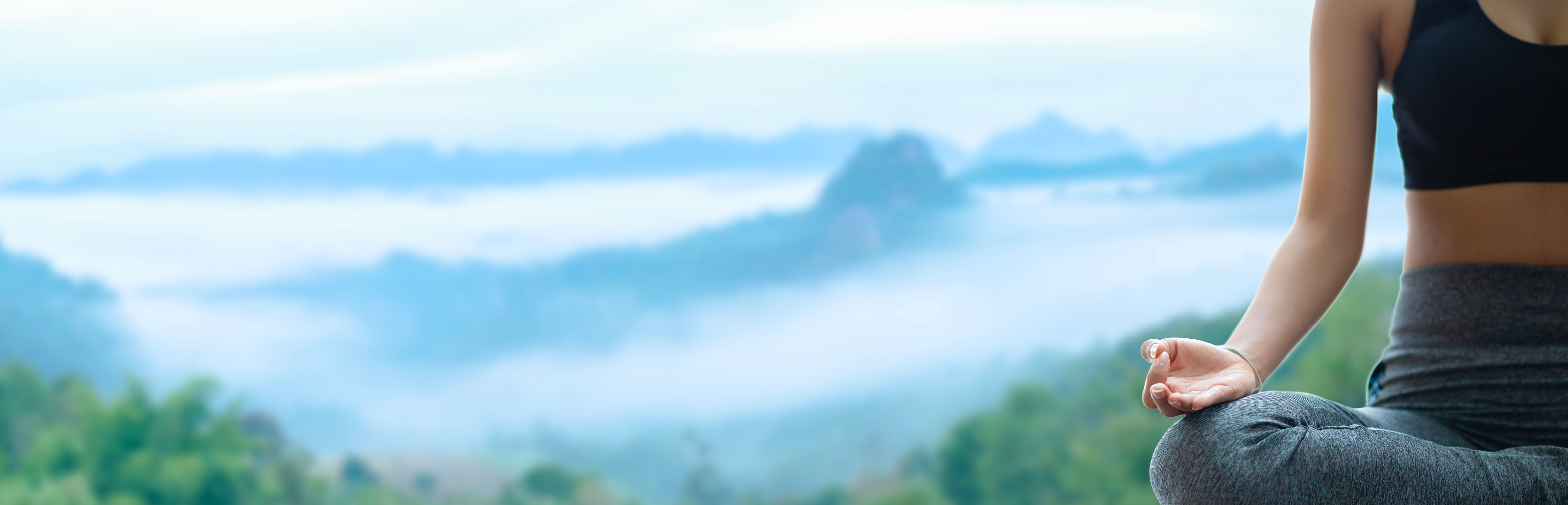 Section background