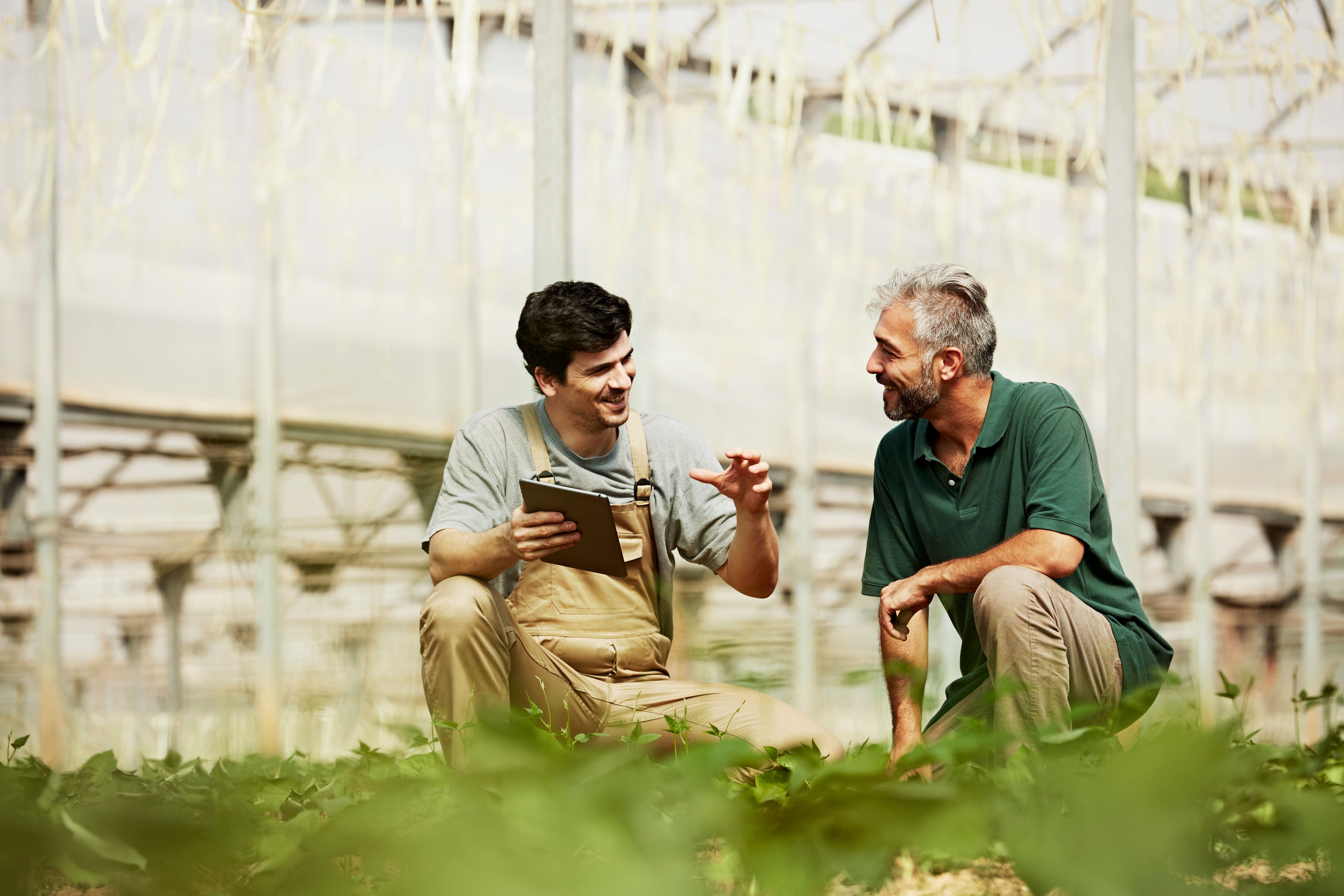 We offer protection for your agricultural businesses with farm equipment insurance, farm tractor insurance and specialty equipment insurance services..