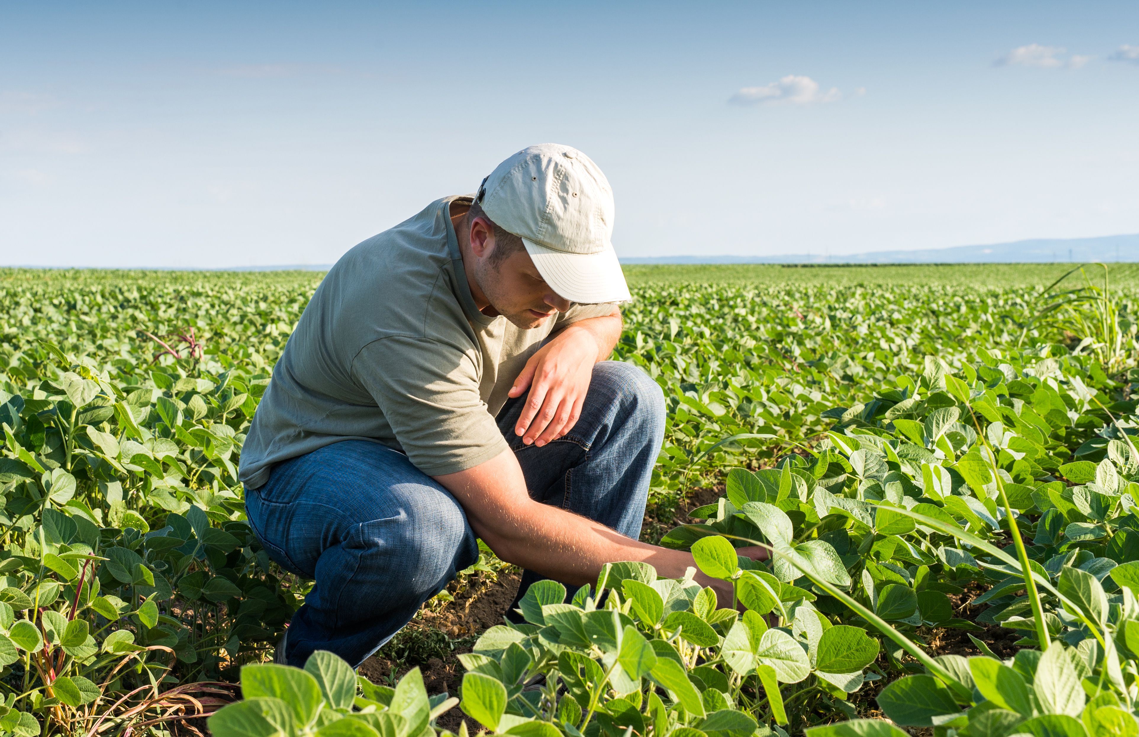 Agribusiness